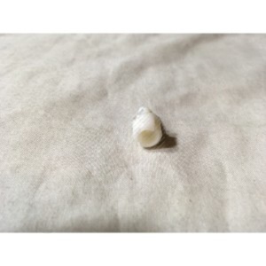 Flt Stop Air SM FLTB Breathing Circuit Gas (BCG) Flt Stop Air SM FLTB Breathing Circuit Gas (BCG)